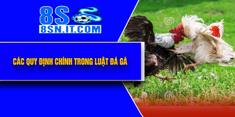 Các quy định chính trong Luật Đá Gà