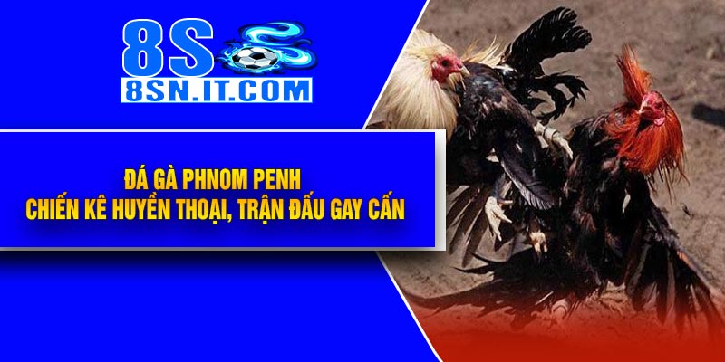 Đá Gà Phnom Penh – Chiến Kê Huyền Thoại, Trận Đấu Gay Cấn