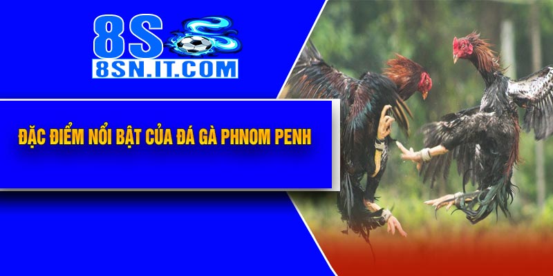 Đặc Điểm Nổi Bật Của Đá Gà Phnom Penh