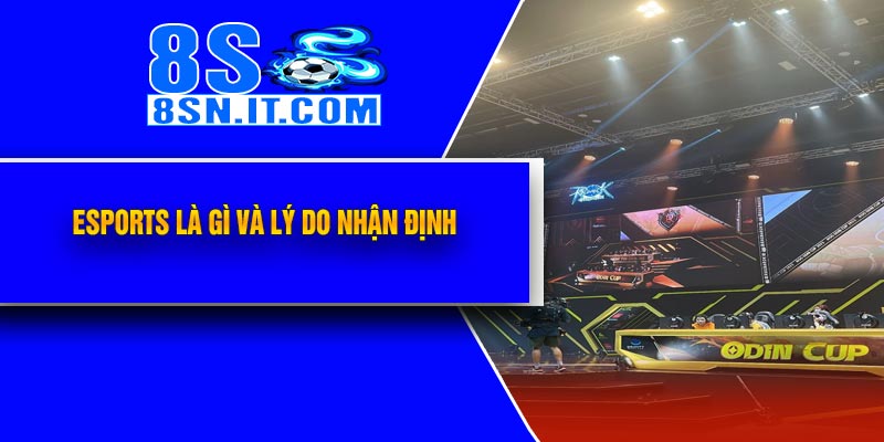 Esports Là Gì Và Lý Do Nhận Định 