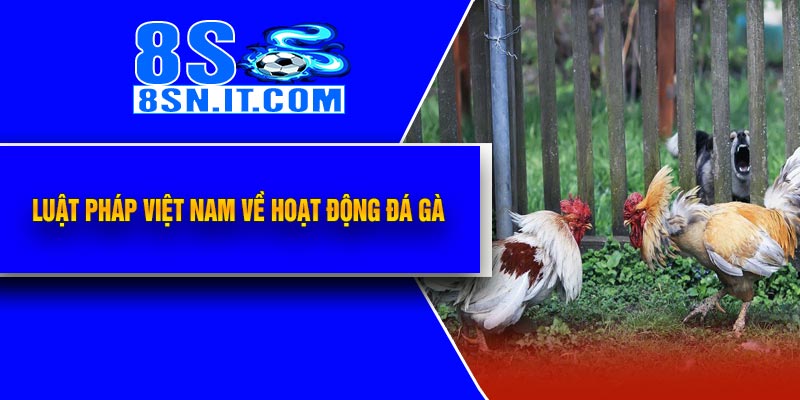 Luật pháp Việt Nam về hoạt động đá gà