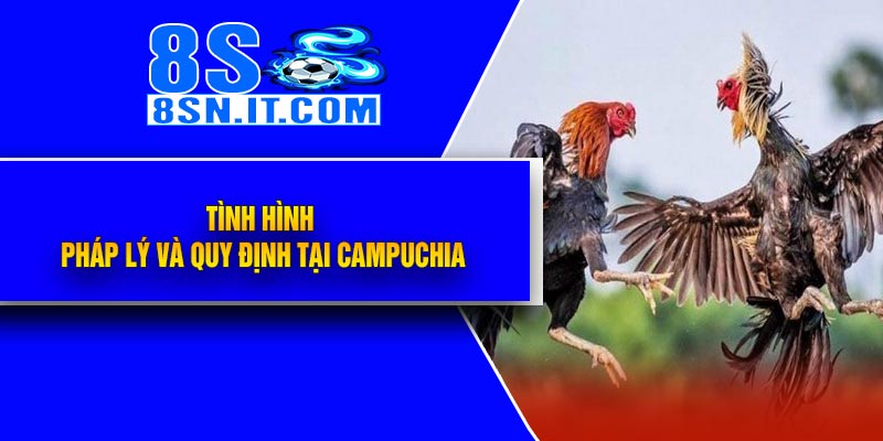Tình Hình Pháp Lý Và Quy Định Tại Campuchia